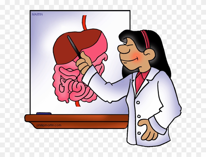 Digestive Clipart - Digestive System Clip Art #887142