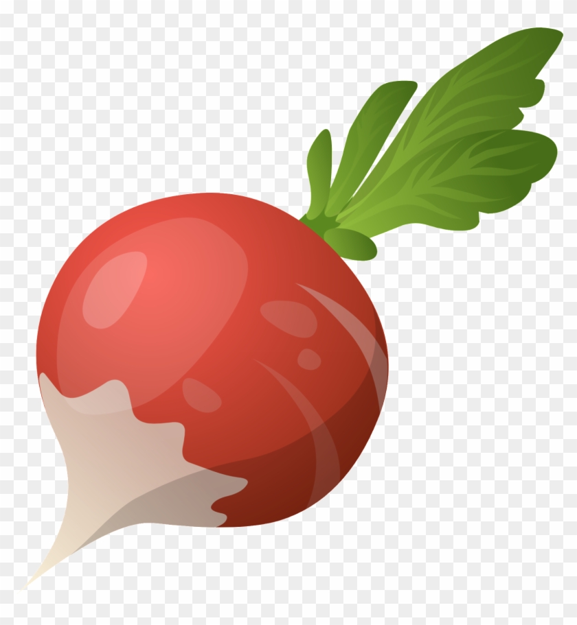 Beet Png - Radish Transparent #887370