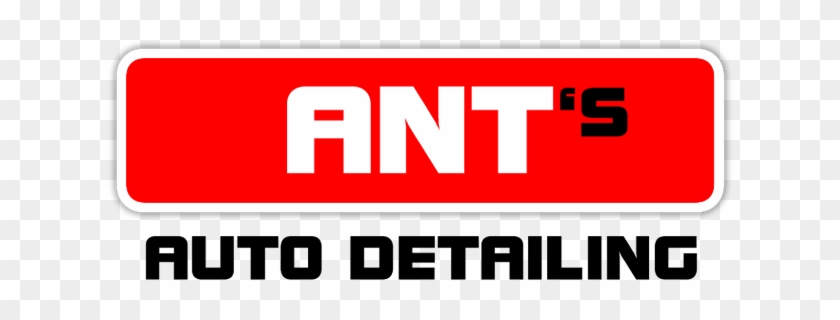 Ant #887449