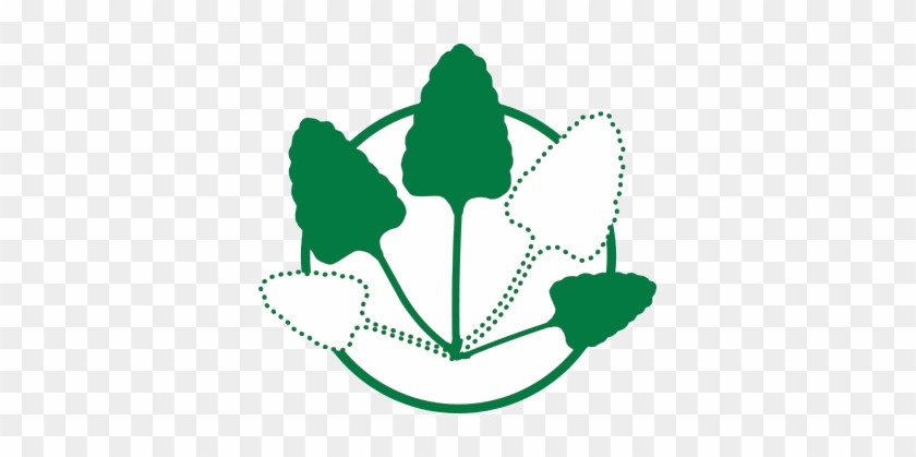 Foliar Diseases Reduce Leaf Retention - Foliar Diseases Reduce Leaf Retention #887469