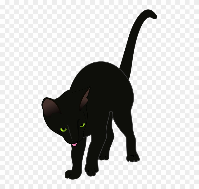 Cat, Black, Vector, Animals, Cat's Eye, Black Cat, - แมว ดำ Png #887717