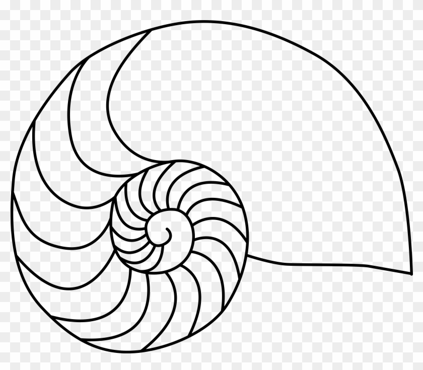 Png - Nautilus Shell Clip Art #887738