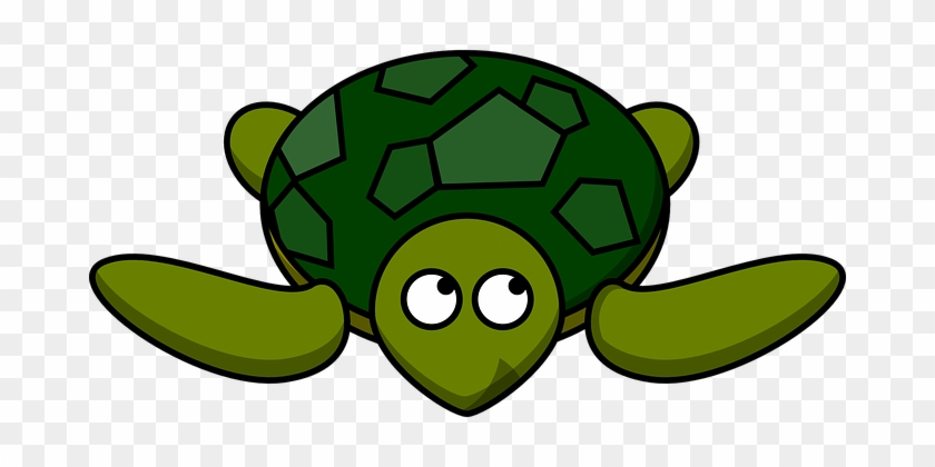Sea Turtle Clipart #887794