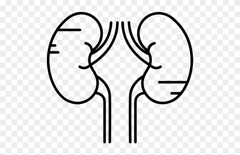 Two Kidneys Free Icon - Kantilal Gandhi Memorial Hospital #887874