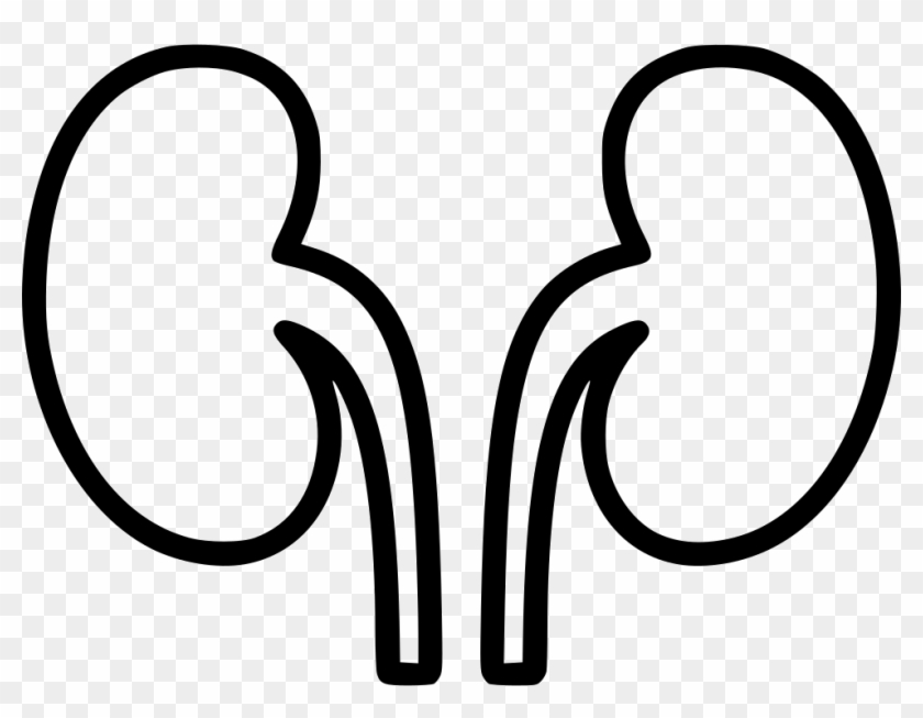 Kidneys Comments - Kidneys Comments #887910