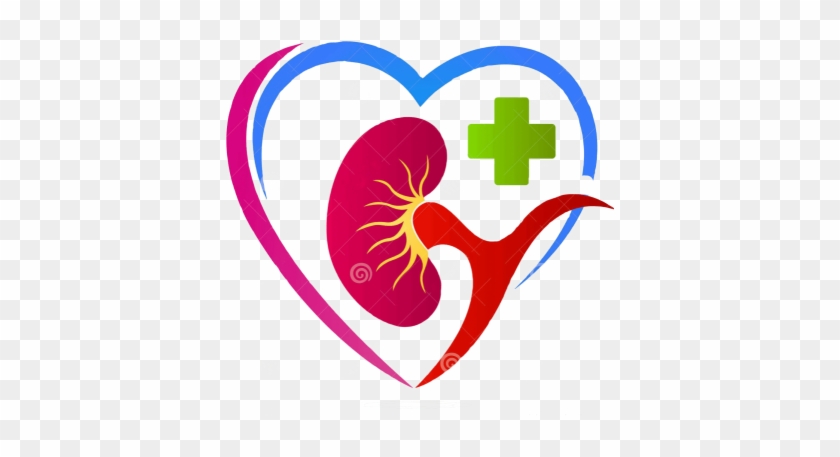 High Creatinine Level Is A Big Trouble For Kidney Failure - Kidney #887947