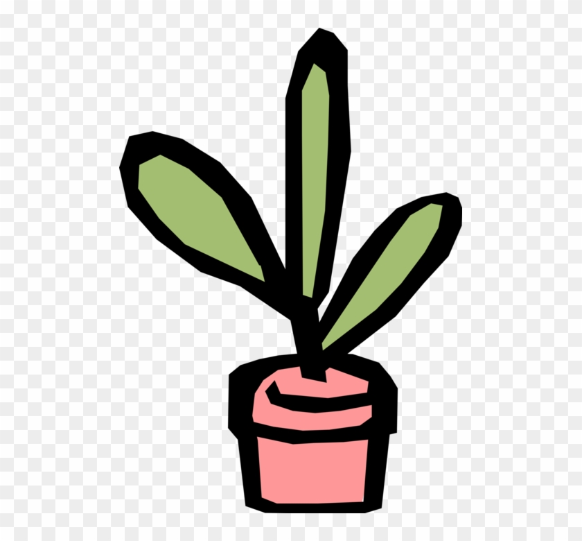Vector Illustration Of Indoor Potted Botanical Plant - Vector Illustration Of Indoor Potted Botanical Plant #888058