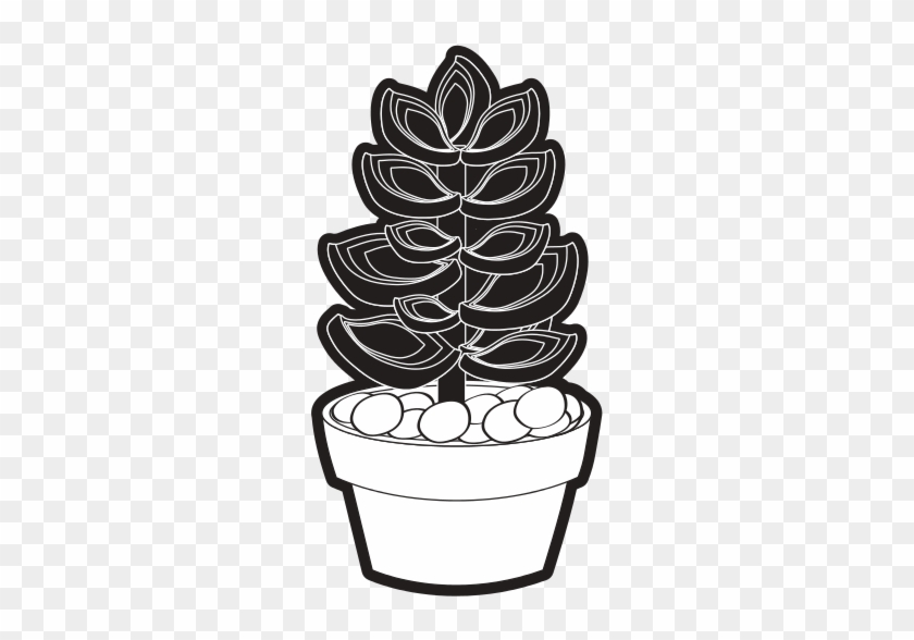 Succulent In The Potted Vector Illustration - Illustration #888062