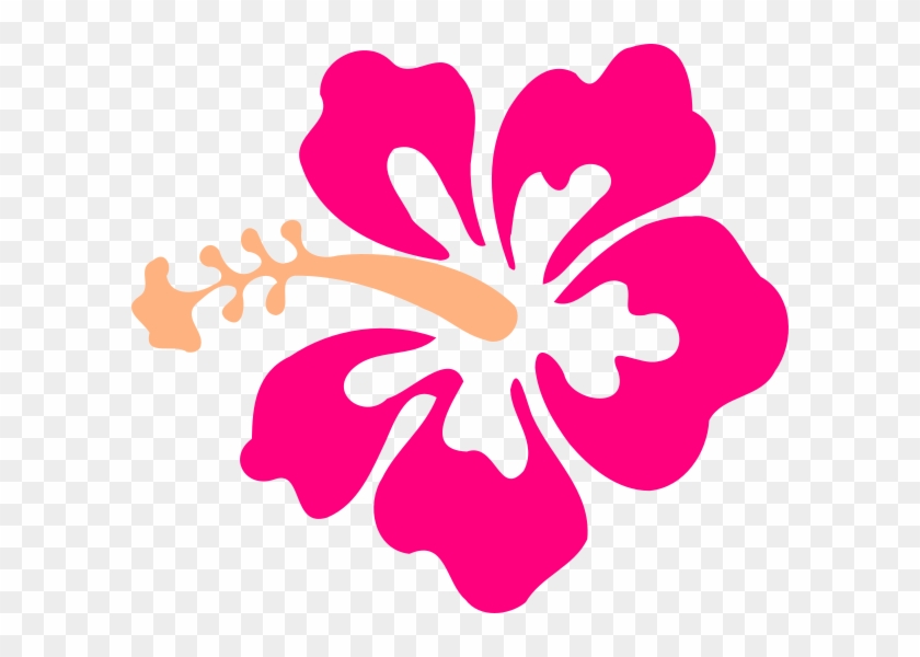 Featured image of post Flor De Hibisco Rosa Png Tener plantas con flores har tu casa ver m s amistosa y brillante y para que lo disfrutes aqu est el top 15