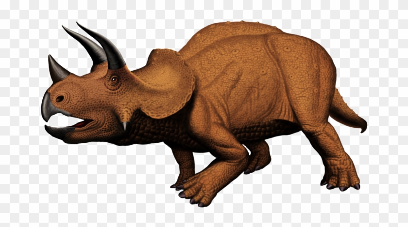 Triceratops Dinosaur - - Triceratops Clipart Png #888656