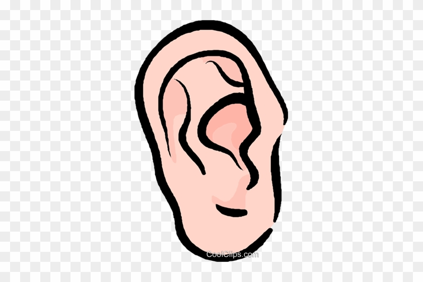 Human Ear Royalty Free Vector Clip Art Illustration - Clip Art #888747