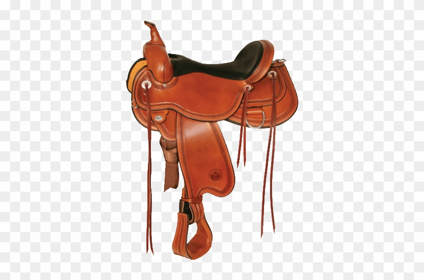 Circle Y Pioneer Flex2 Trail Saddle Outfitterssupply - Circle Y Trail Saddle #889377