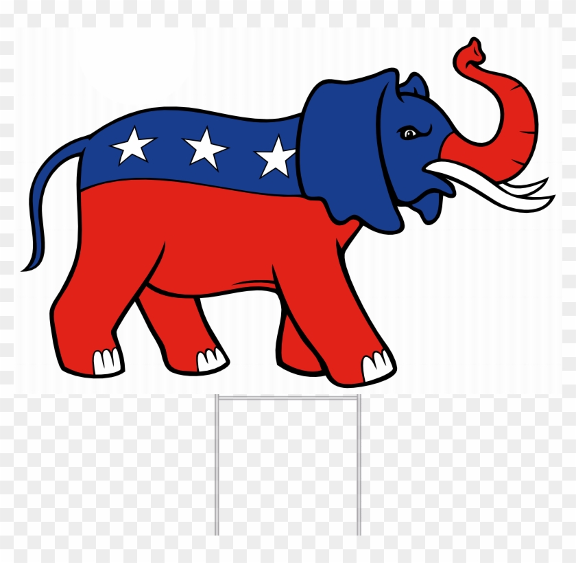 Indian Elephant #889524