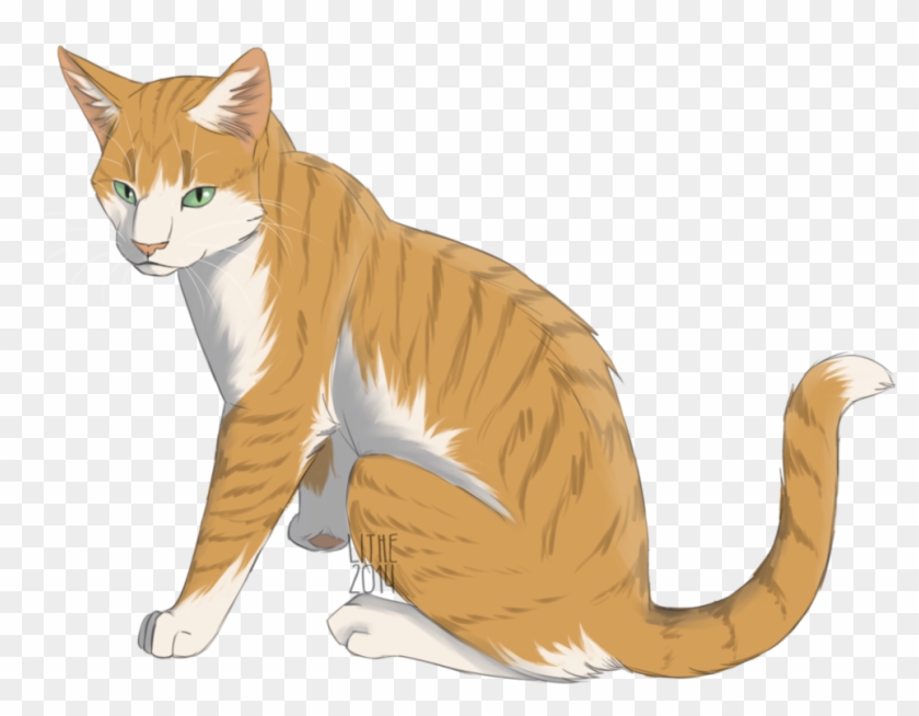 Whiskers Kitten Tabby Cat Domestic Short-haired Cat - Siberian Tiger #889589