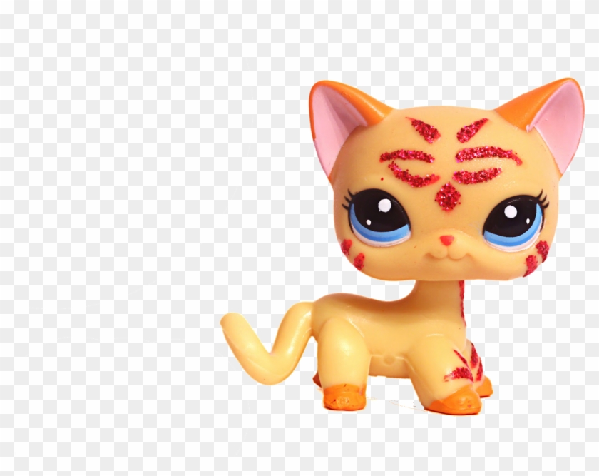 lps png shorthair cat