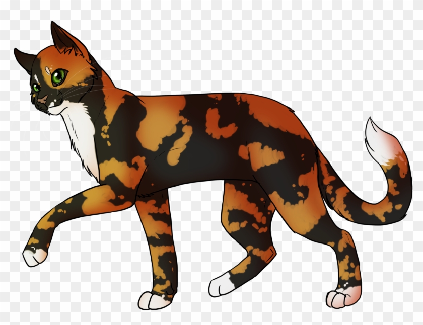 Kitten Whiskers Domestic Short-haired Cat Into The - Warrior Cats Cherrytail #889637
