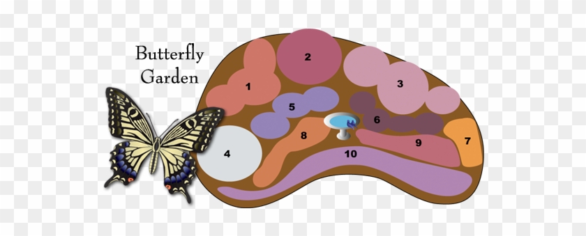 Garden Design With Hollandia Nurseries Top Garden Center - Designing A Butterfly Garden #890164