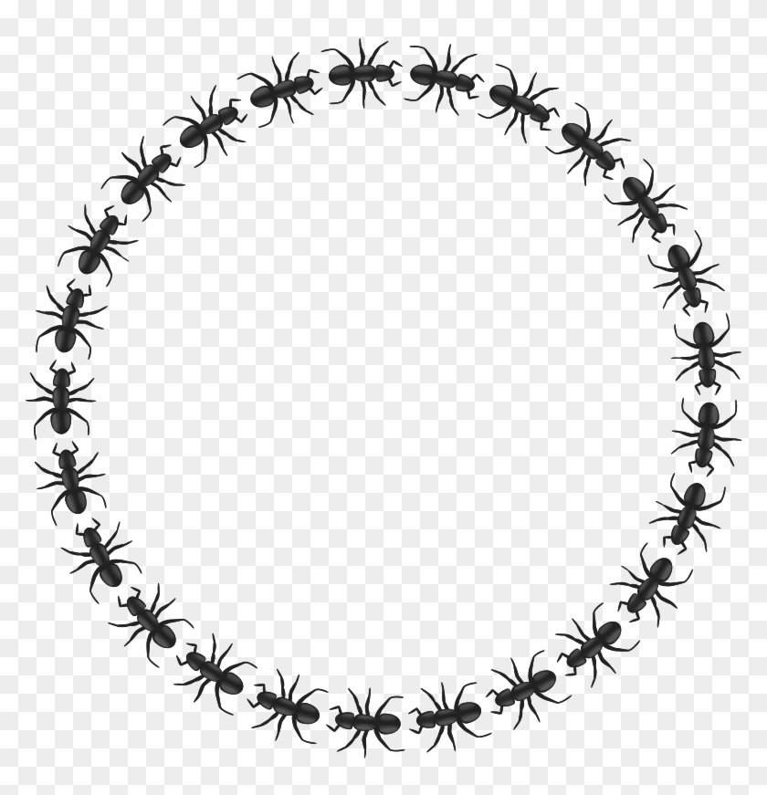 Ant Border Cliparts - Circle Border Design Black And White #890784