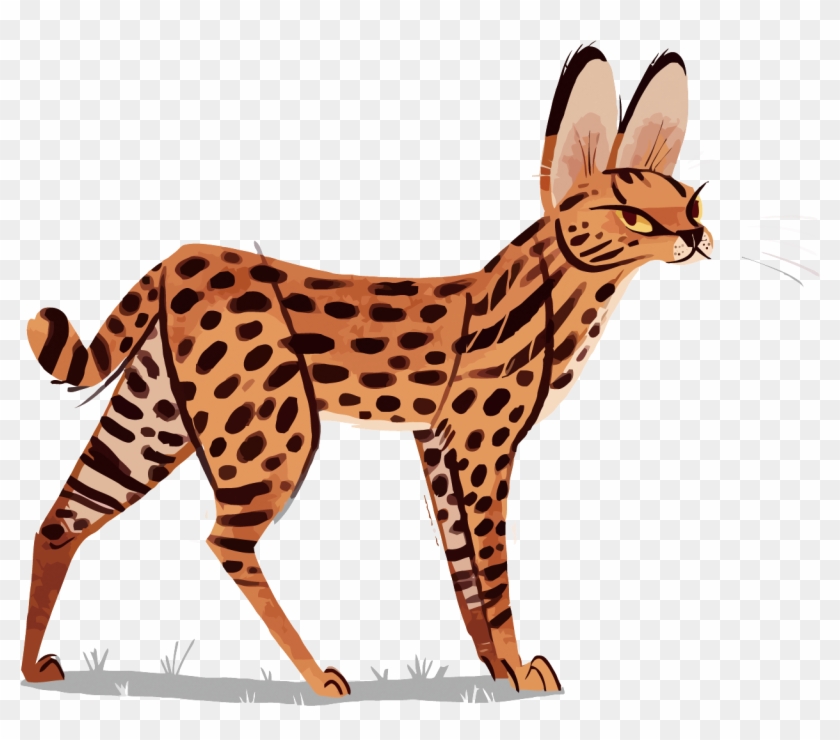 Ocelot Cheetah Leopard Serval Illustration - Serval Deviantart #890928