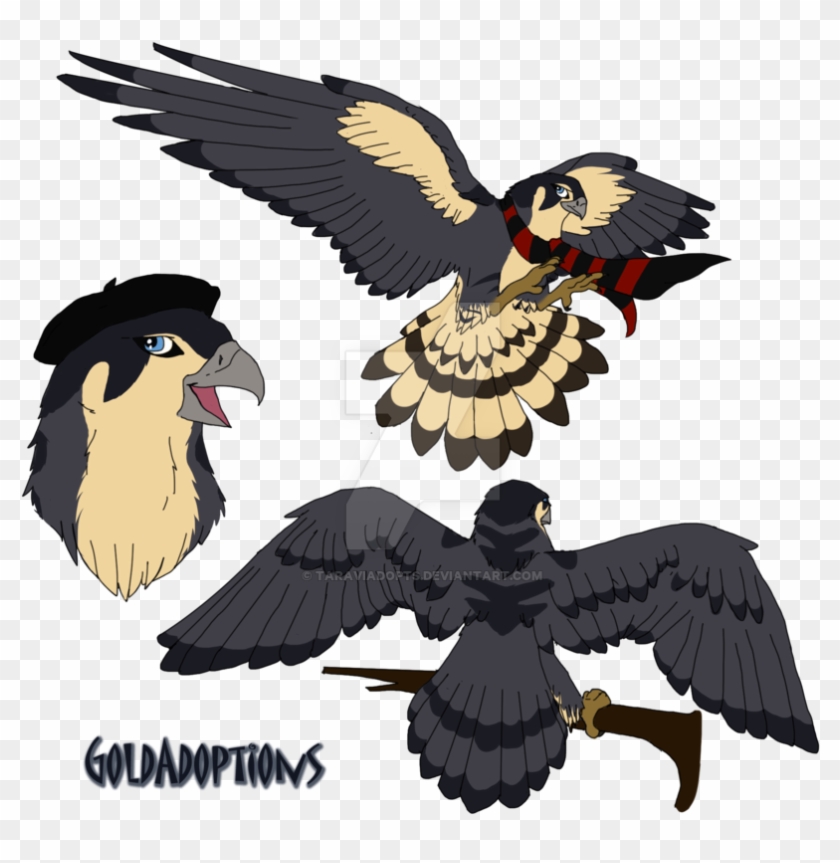 Peregrine Falcon For Kaylin540 By Taraviadopts - Peregrine Falcon Anime #891058