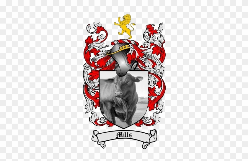 Superior Angus Cattle Genetics - Johnston Family Crest England #891509