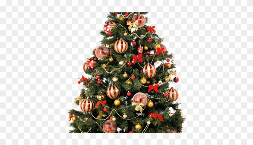 Christmas Tree - Christmas Tree Png 2017 #891506