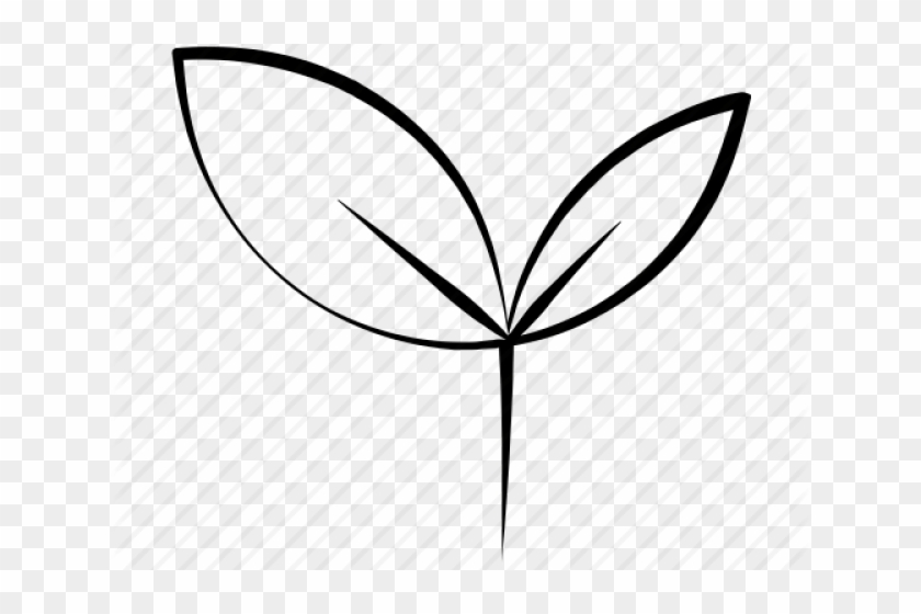 Drawn Foliage Leaf Icon - Chinese Restaurant #891572