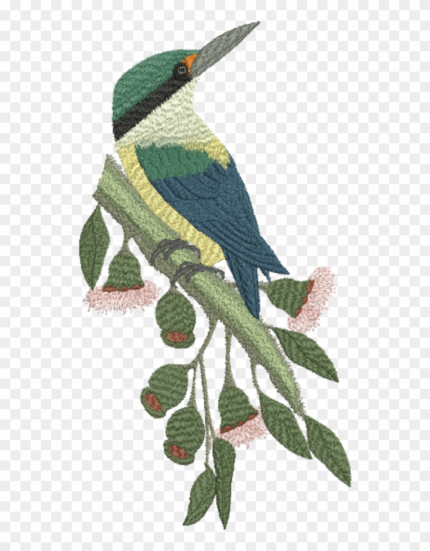 Sacred Kingfisher - Png - Sacred Kingfisher - Png #891911
