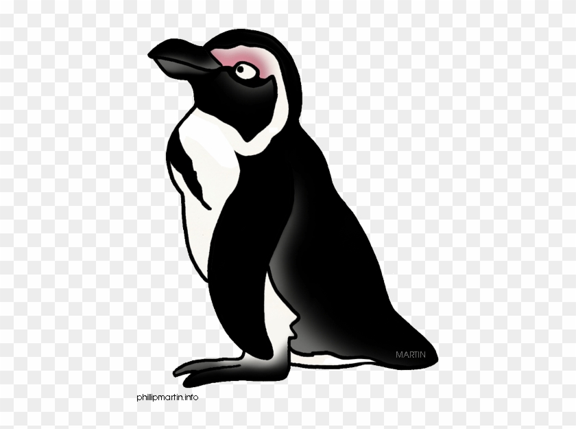 African Penguin Clipart - Antarctica Clipart #891920