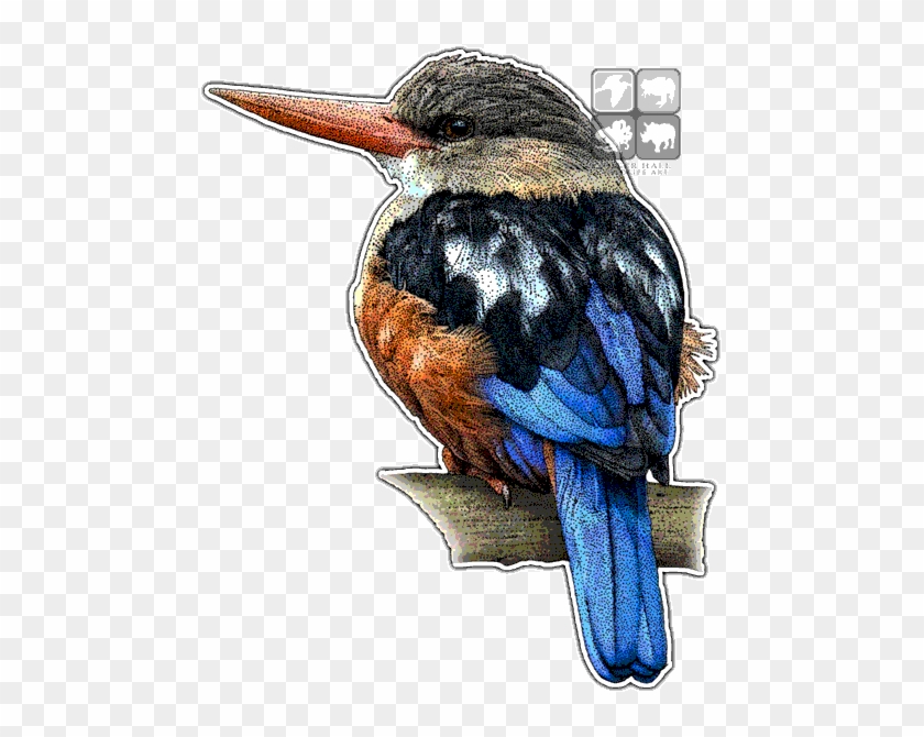 Grey-headed Kingfisher Decal - Kingfishers Of The World Throw Blanket #891940