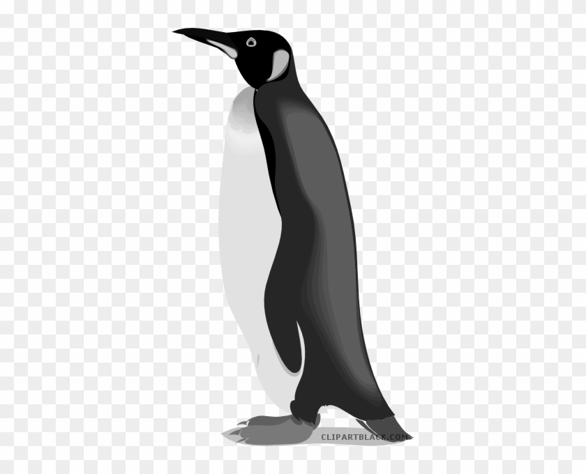 Emperor Penguin Animal Free Black White Clipart Images - Pingouin Dessin De Cote #891968