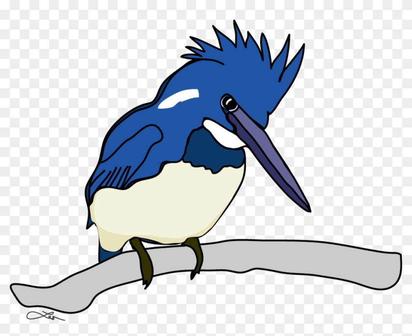 The Belted Kingfisher Keeps Me Company All The While - Seabird #891983