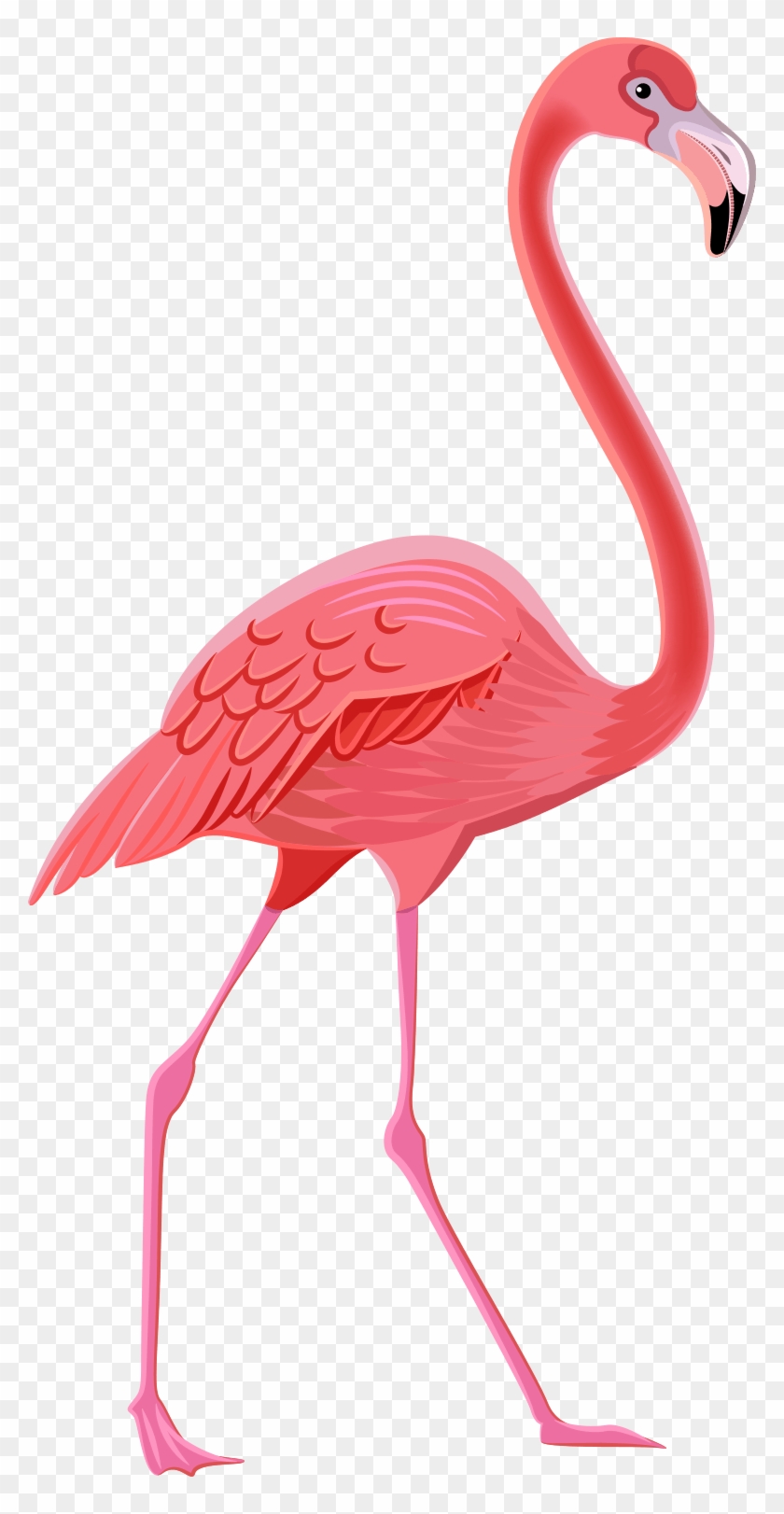 Flamingo - Totens De Flamingo #892048