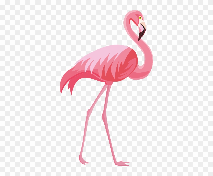 Itinerary "pink Flamingo" - Пнг Фламинго #892059