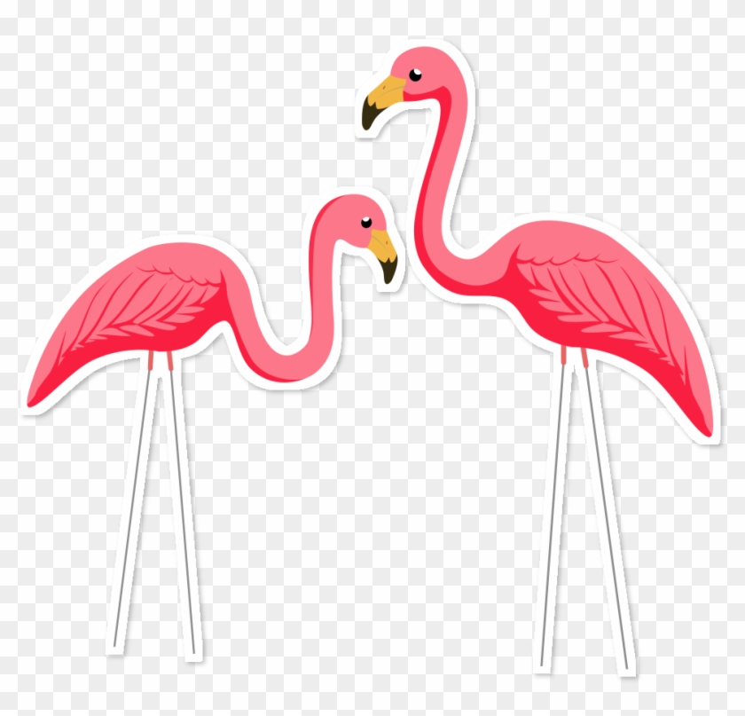 Bora Se Amá De Mathna - Greater Flamingo #892065
