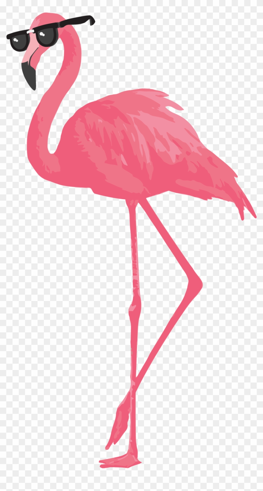 Flamingo - Greater Flamingo #892079