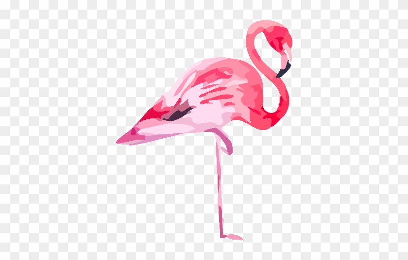 Also Available As - Flamingo Png #892089