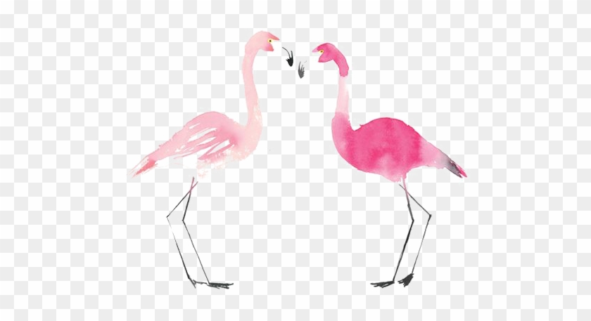 Flamingo Bird Drawing Painting - Flamingos #892118