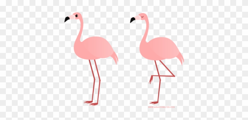 Sara Draws Daily - Flamingo Clipart #892154