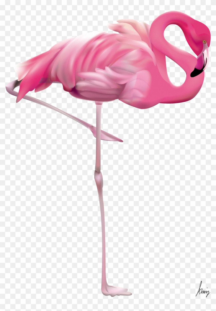 Flamingo By Leo00o83 Flamingo By Leo00o83 - Flamingo Png #892161