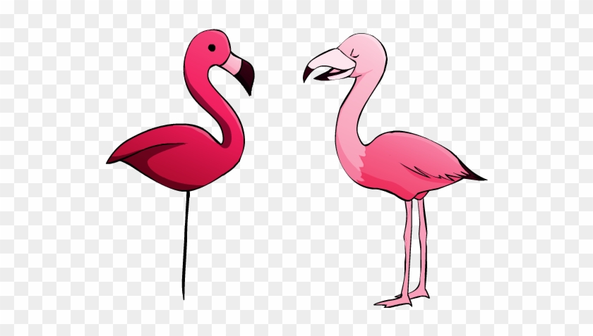 Flamingos - Greater Flamingo #892165