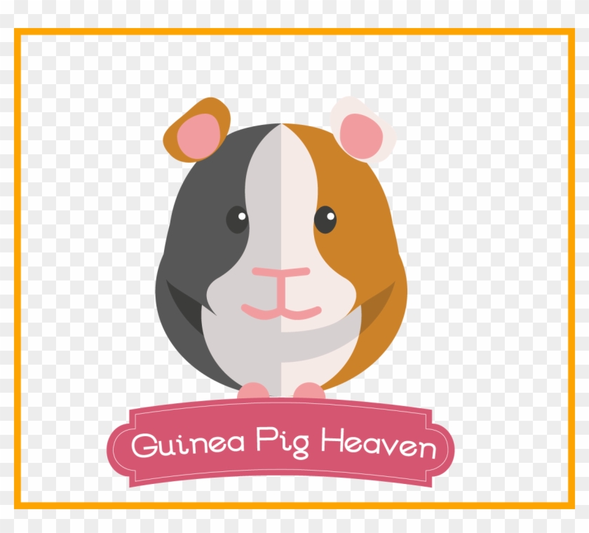 Pig Cute Cute Boy Guinea Pig Names Appealing Can Your - Guinea Pig Cartoon Png #892172