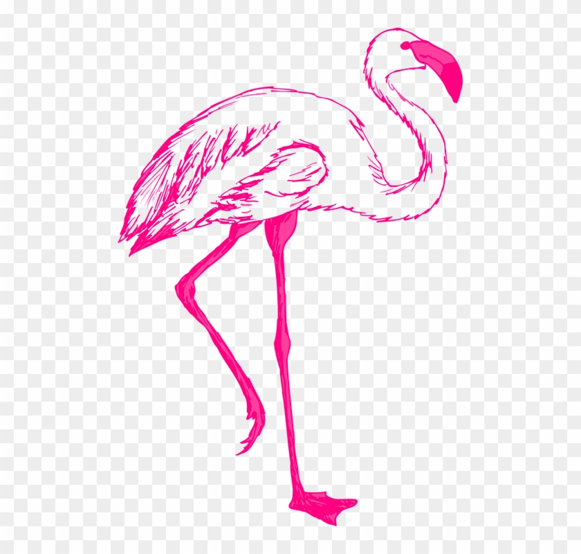 Flamingo Png 15, Buy Clip Art - Flamingo Clip Art Transparent Background #892174
