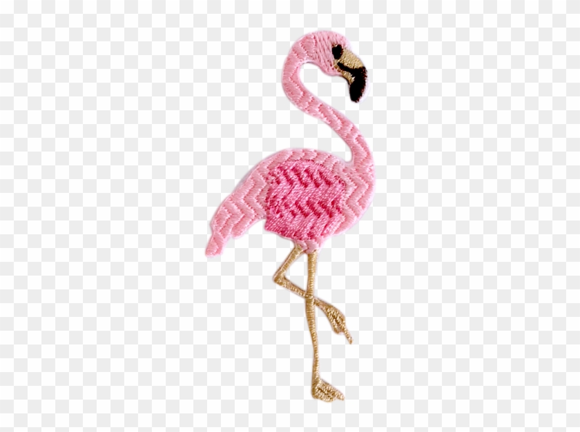 Greater Flamingo #892182