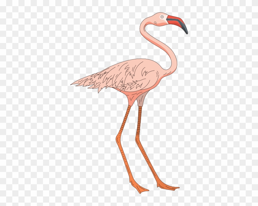 Small - Flamingo Legs Png #892184