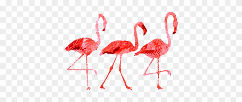 Tumblr Whatsapp Emoji Emoticon Png Transparente Transpa - Flamingo Png #892185
