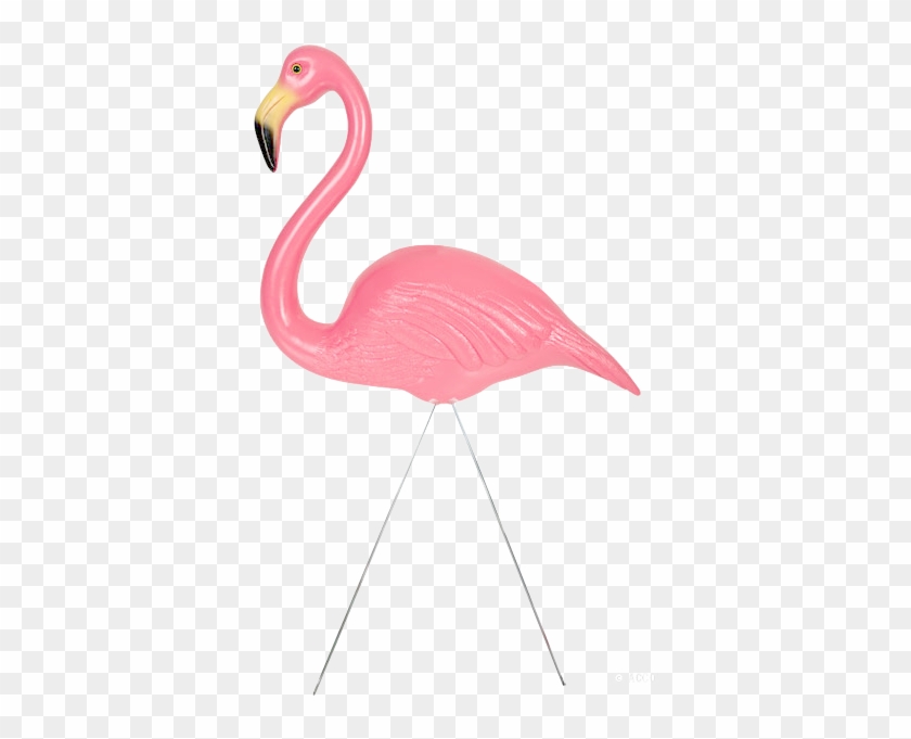 Lawn Flamingo Clipart #892198