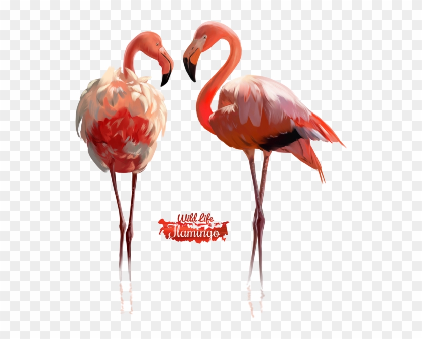 Pink Flamingo Watercolor Illustration By Kajenna - Flamingo Watercolor #892200