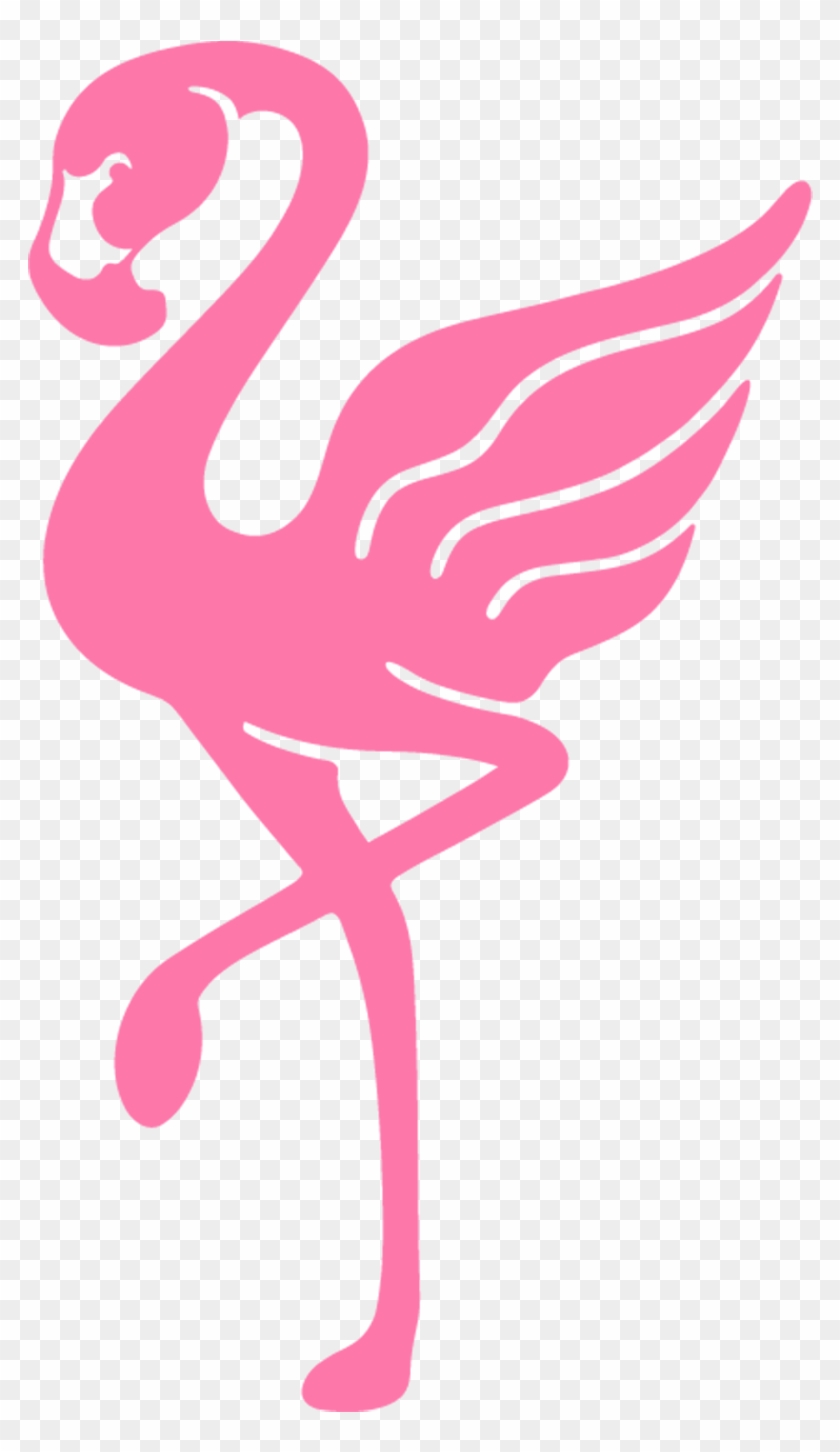 Featured Flamingo Products - Flamingo Brand #892209