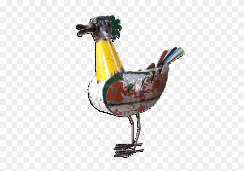 Wild Duck - Rooster #892666